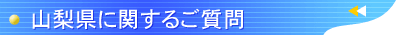 RɊւ邲
