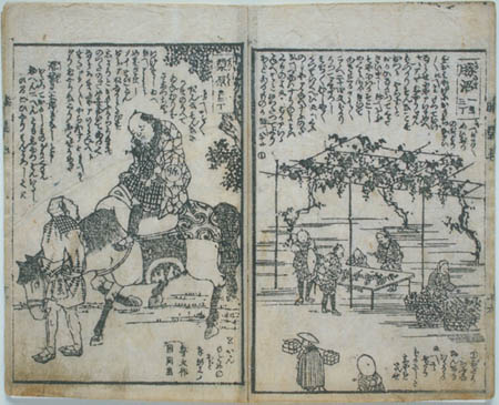 身延参詣道中膝栗毛(0400013629-019)