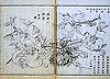 八珍果図(0400209615-023)