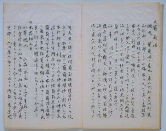 山梨県特産物説明(0400177879-008)