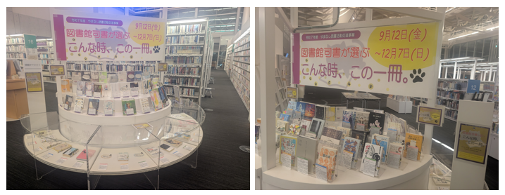 サテラ１展示写真