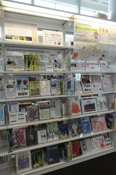 展示風景写真