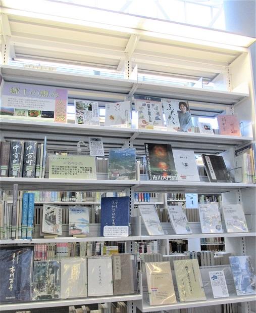展示の様子