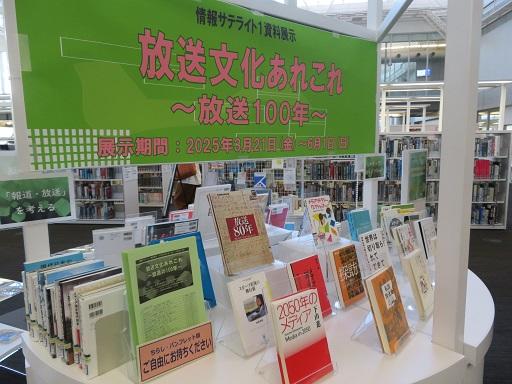 hosobunkaarekore3.jpg