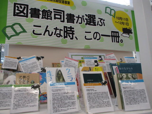 展示風景「こんな時、この一冊。」県立図書館司書のおすすめ