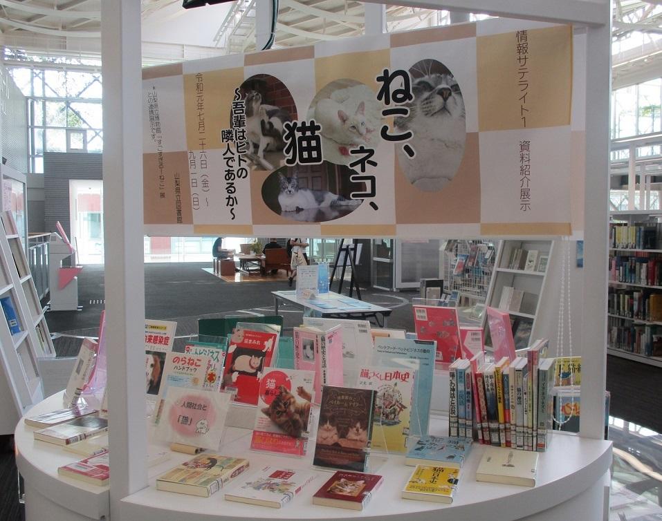 情報サテライト１展示「ねこ、ネコ、猫」展示風景２