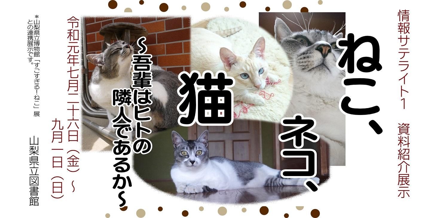 情報サテライト1「ねこ、ネコ、猫」展示タイトル